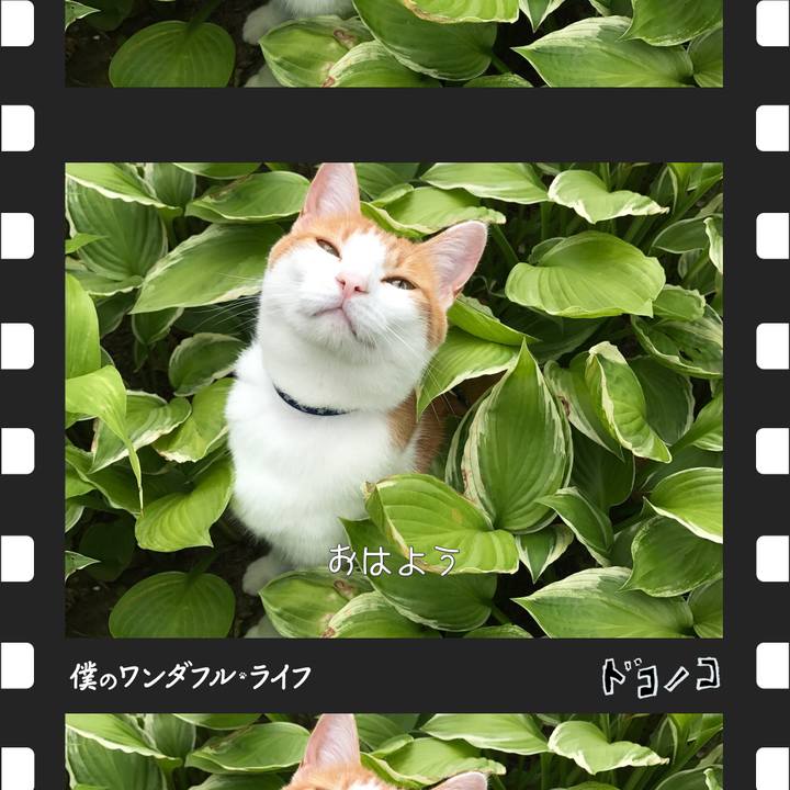 5b8543b6 fe76 45e9 9979 8b1190a9313a