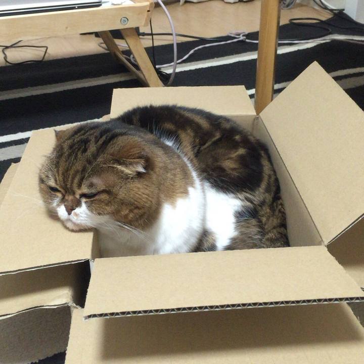 5b85d3d8 0300 43aa 920e 7795371c50be