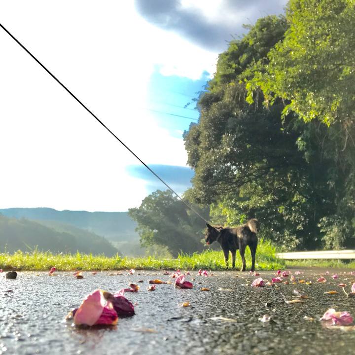 5b861834 4c55 464f 847f 9c7cd3c58ce9