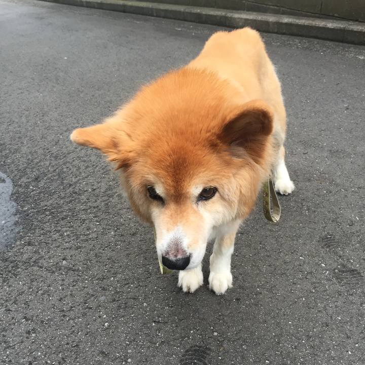 5b872bdc f515 4928 88f0 7b9da41ecf4a