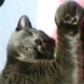 5b88143c 4199 461b a8d6 7a5c2ee2d88c