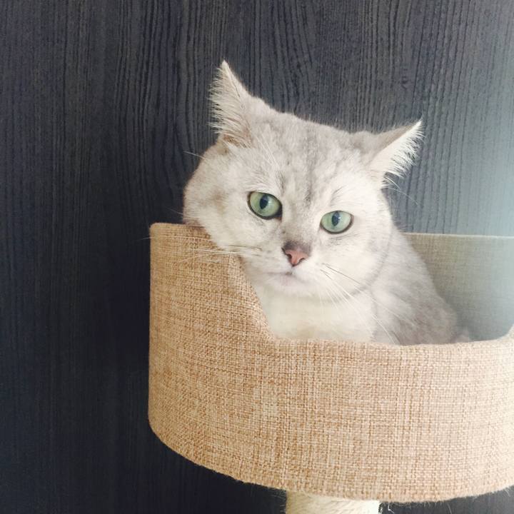 5b88a22b ca11 4420 ae3b 1aa3710da6be