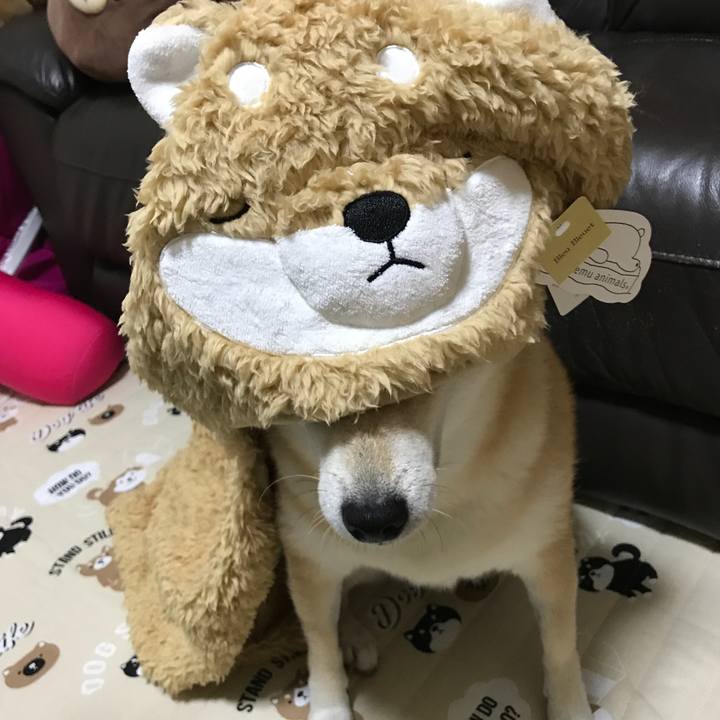 5b890e53 6c18 4634 8251 f5aca158f011