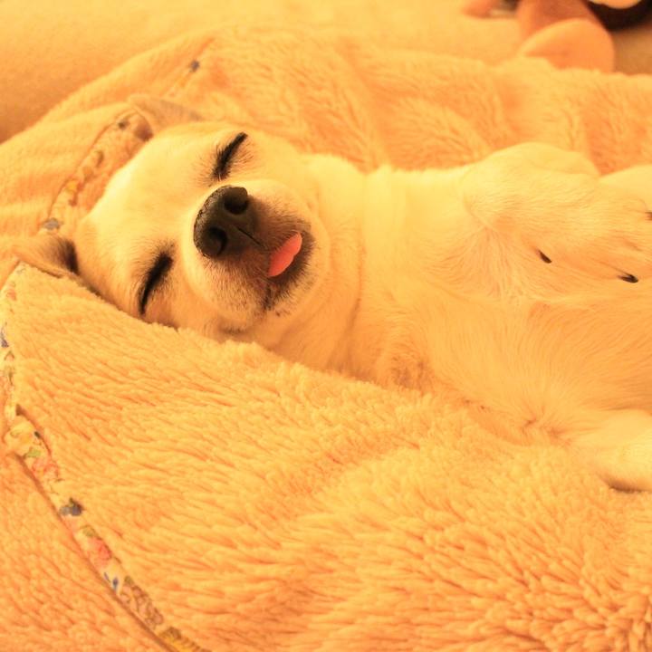 5b894698 733e 4152 b8fe 8a15bfb2a6fb