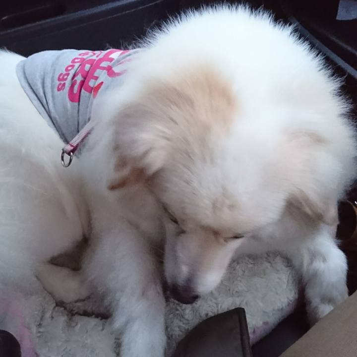 5b89bda3 6d3e 4896 874e 59461cf90364