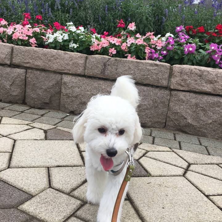 5b89d4e8 0b20 489e b9f8 ef3730c8f7bb