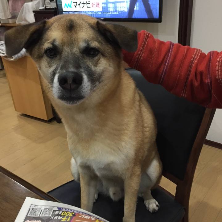 5b8a0ecd 92cd 404d acb2 ff701302da4d