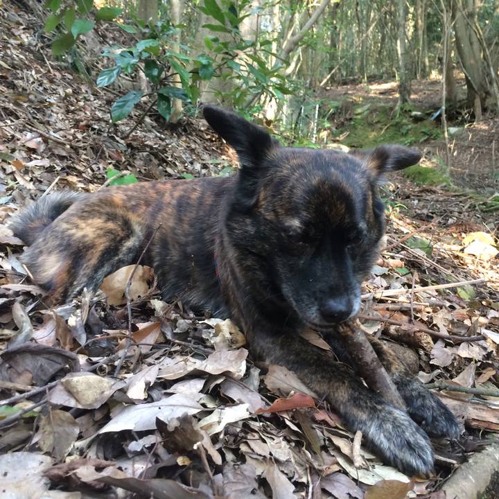 5b8a141c ef39 4198 9550 202e1430cf59