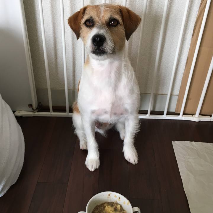 5b8a4053 e212 48c8 a4d3 fab6c45cd266