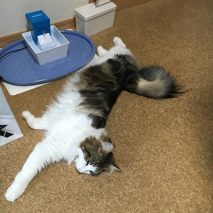 5b8a9498 568c 4c60 a73c 24e66086566e