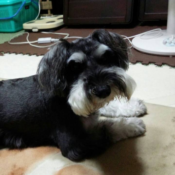 5b8b952e 9f56 4722 a10b dcbe088ddf5c