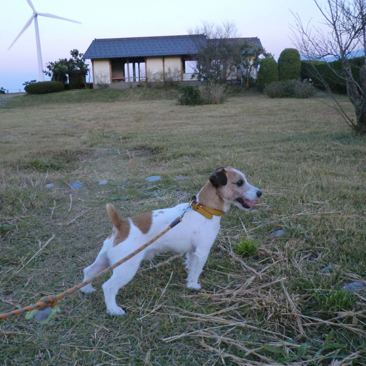 5b8bad81 4e8a 4efb 977b fecbe01a7869