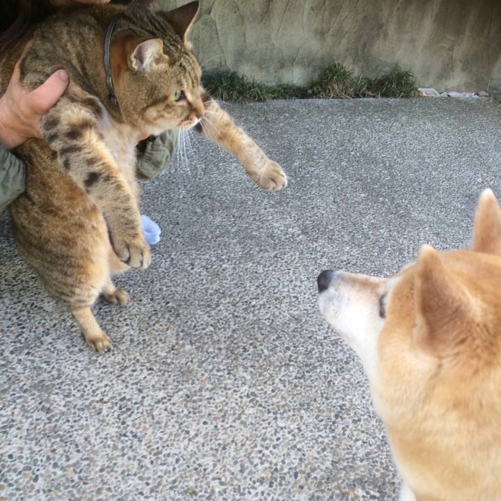 5b8c9f8a d774 4c83 ae9c 939a55f7986e