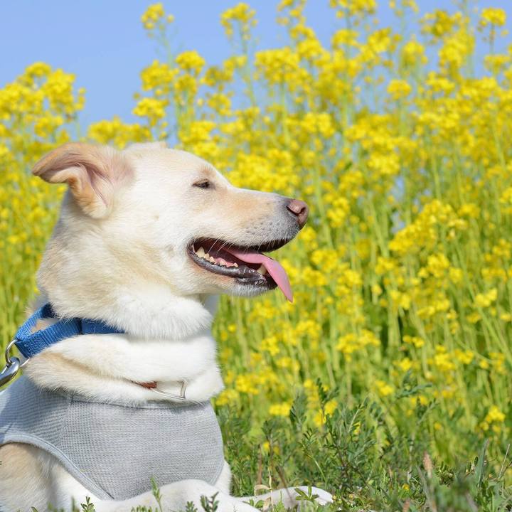 5b8d02d8 adbd 4f60 a034 4bea3821c00e