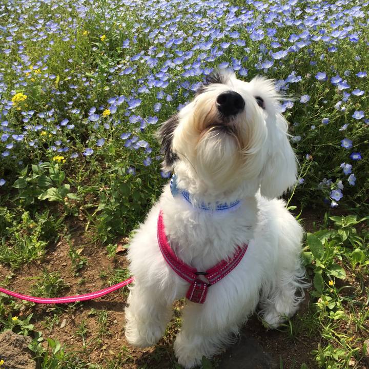 5b8d4558 304a 453a a503 bc3fce16e3b9