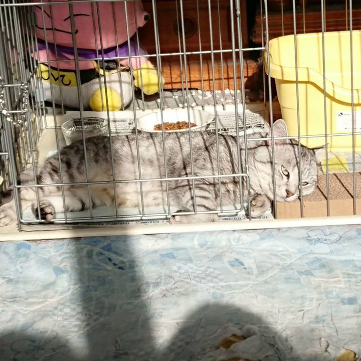 5b8e65da 808d 4742 a645 164d93be4007