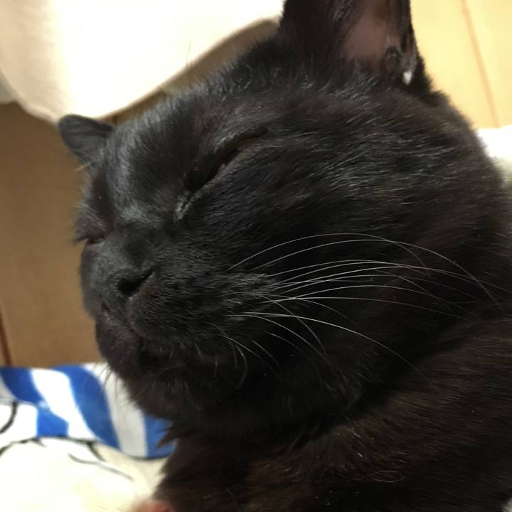 5b8ef23e 7635 4428 936d 6f8dbec8744c