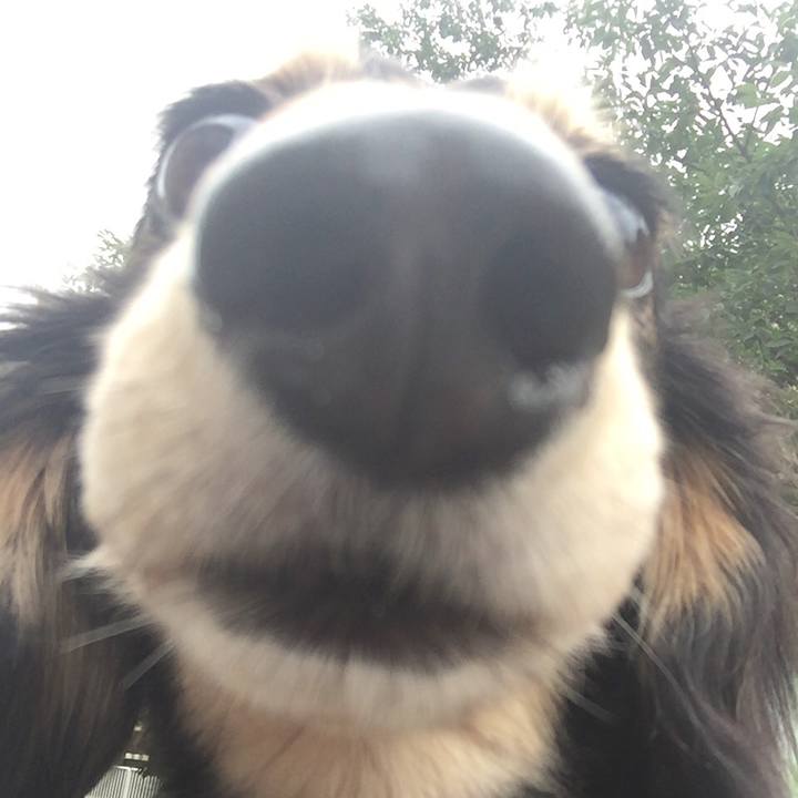 5b8f766c 4f34 49f0 8333 33a29d5fd18e