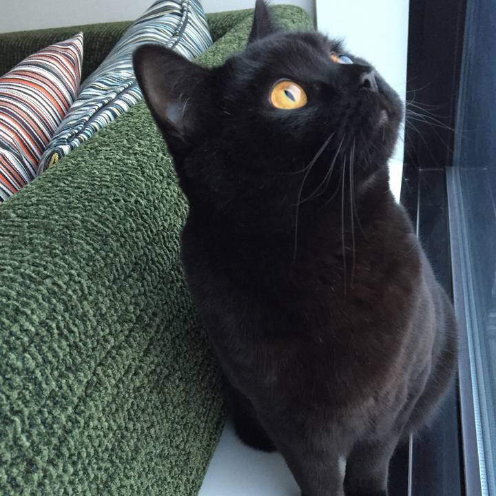 5b8fc30a a8ae 4a1f ab6c d5d592f7e80e