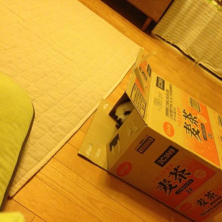 5b906d9c ef07 43f6 89ae f3764b514f49