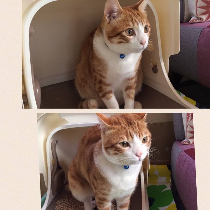 5b9073a9 9e47 4af6 9d49 01b4bc5ff684