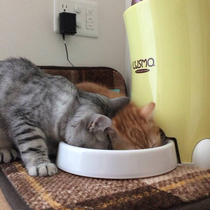 5b908cfd fb4c 4cd5 8edb 2e39fca1021f