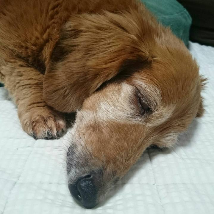 5b90e94c 8544 470d b056 083d102d3473