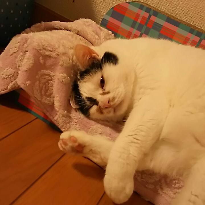 5b90f6a0 0312 458f a4e6 796c8b65a301