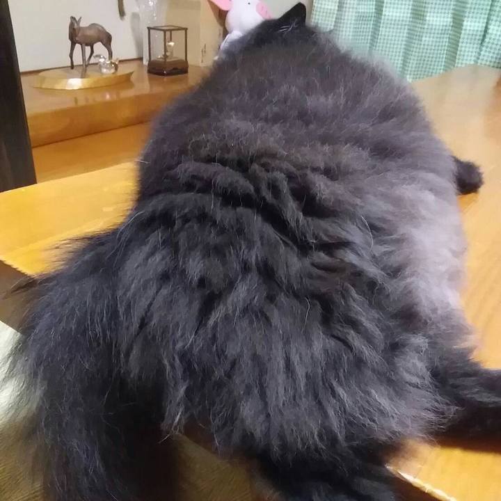 5b915993 2fd7 48bb b51d a04ca88f3e7c