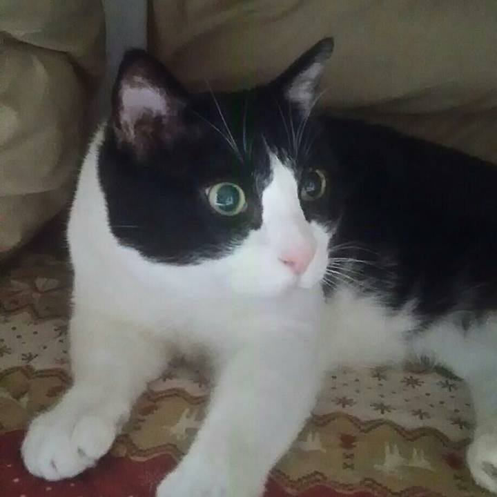 5b91b46a c21f 4438 8cf5 19755a05b6cd