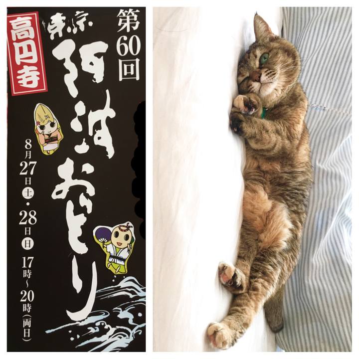 5b9229f3 1ec6 4e8e a967 0a8daaeb4b06