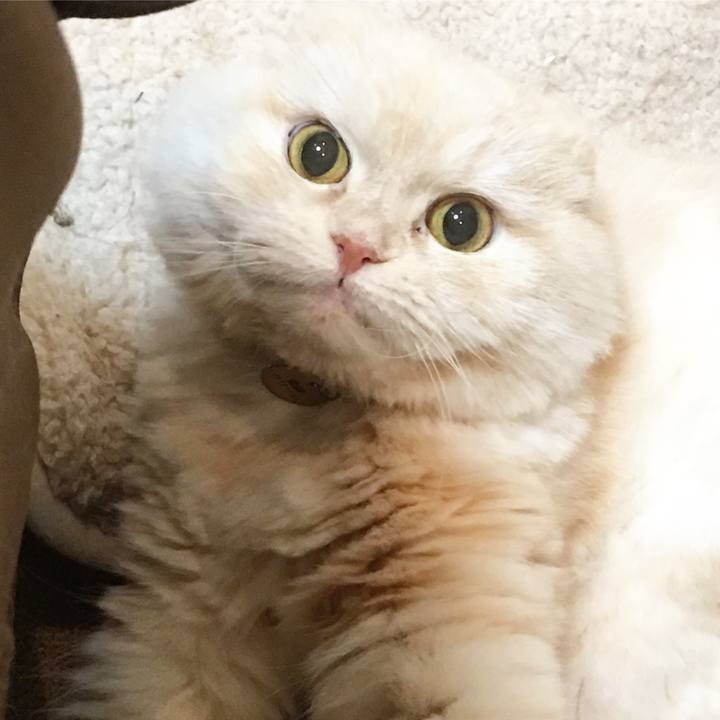 5b929a97 3420 4d06 8bf0 0025bfbb064c