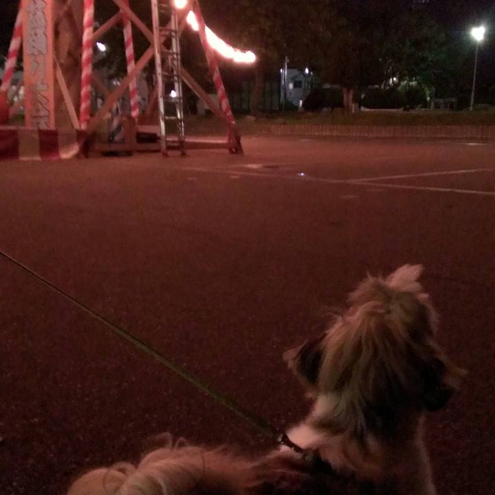 5b92b280 7b30 4cb6 8aff a8f22c727283