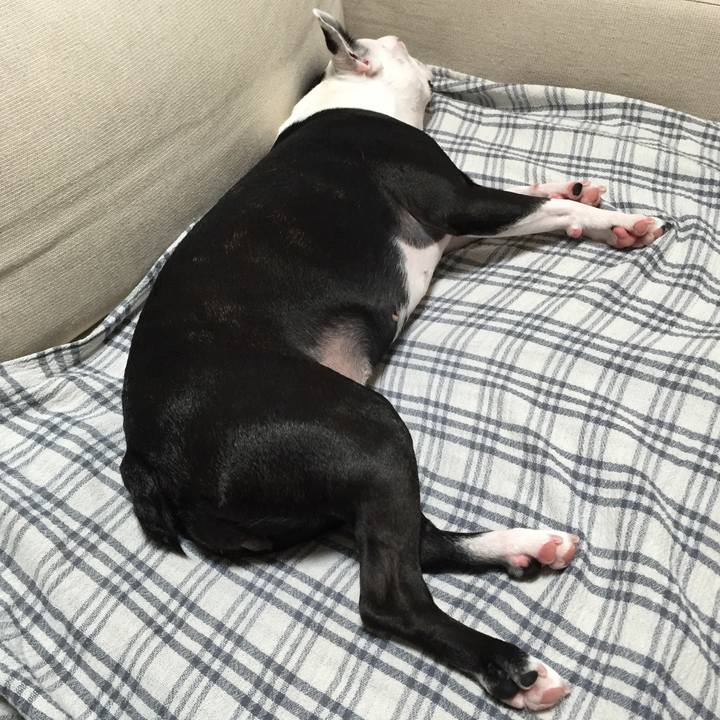 5b92bdfd ddaf 4210 9929 1b91c08e82fa