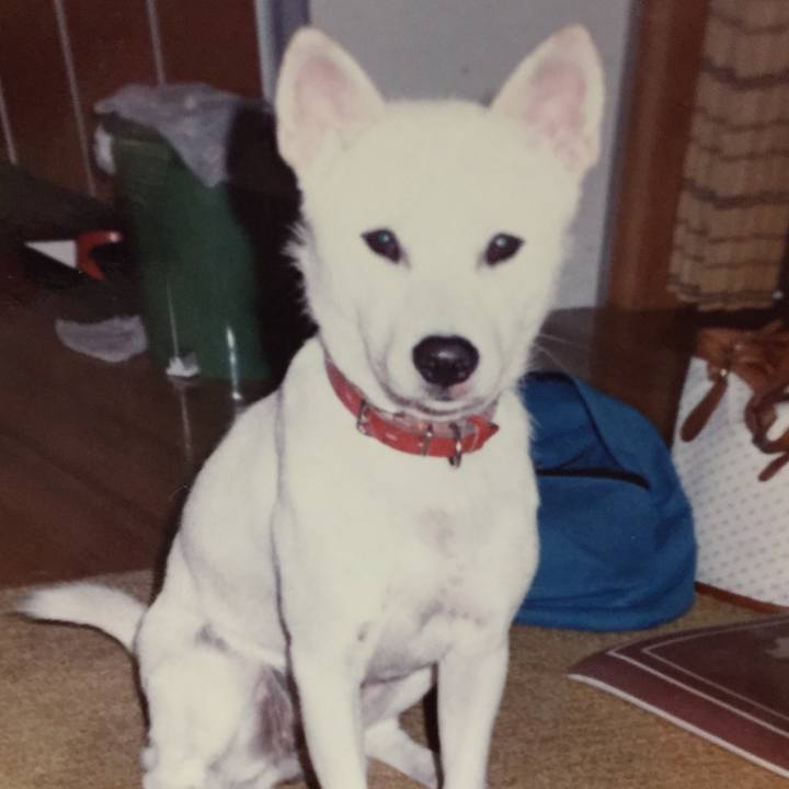 5b9321e8 d518 4eba b244 3b9b6bc4e090