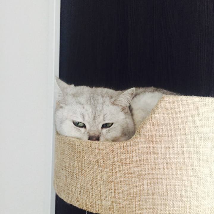 5b938ee9 6602 43a1 89f6 a5b200cde6f2