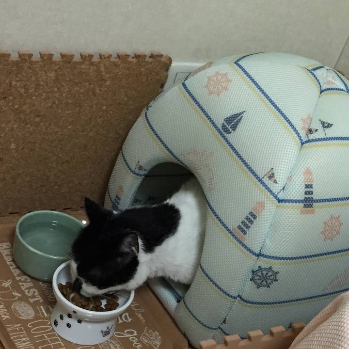 5b93a0c3 afe8 4bfb 909a 908e3e2e27a9