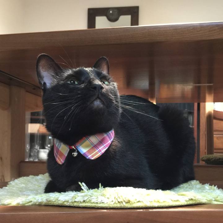 5b93b450 3f74 458a 8d8b 6f0d37d4d057