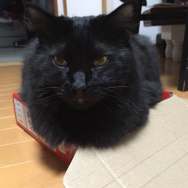 5b942ffd b57e 49f7 a6a7 15e8246af166