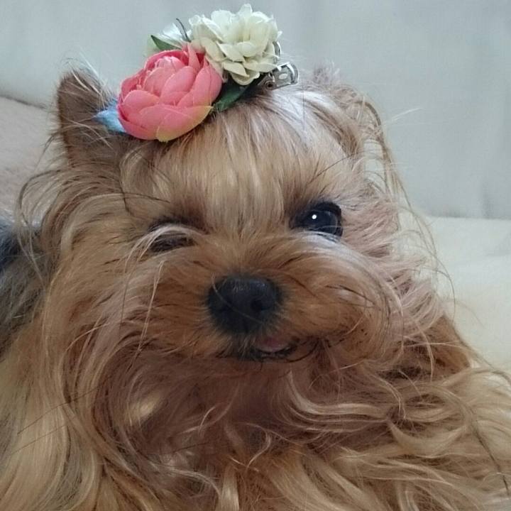 5b94de95 eed5 4d57 becc 75731a0e2a64