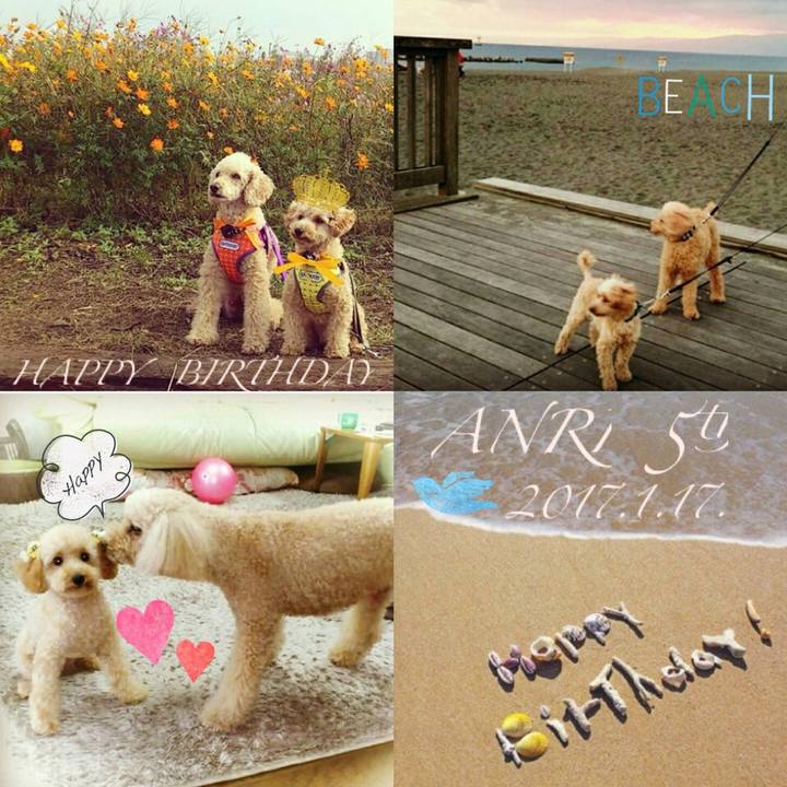 5b955dee 90bb 466b 8210 86ebca75ad9d