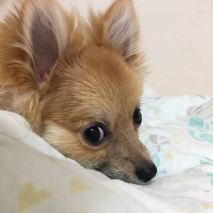 5b958be2 11d6 44cf a144 c9a7ccb3699b