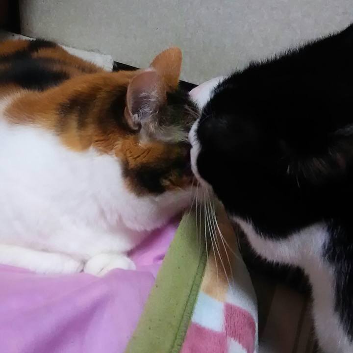 5b95b222 2022 481a a4c6 ddf4f92f8792