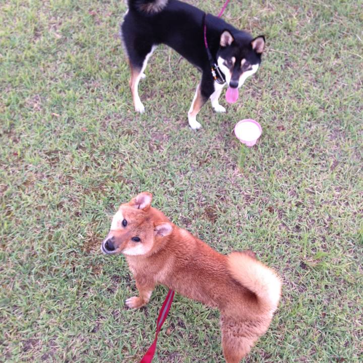 5b96103b 422b 4881 948c 983f6daad122