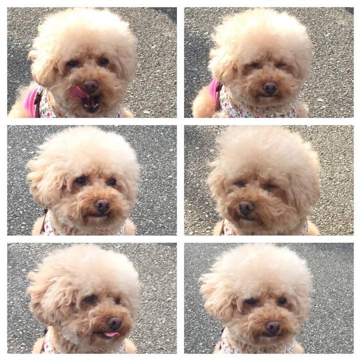 5b9669d7 4c4a 49be b937 7062a420537a