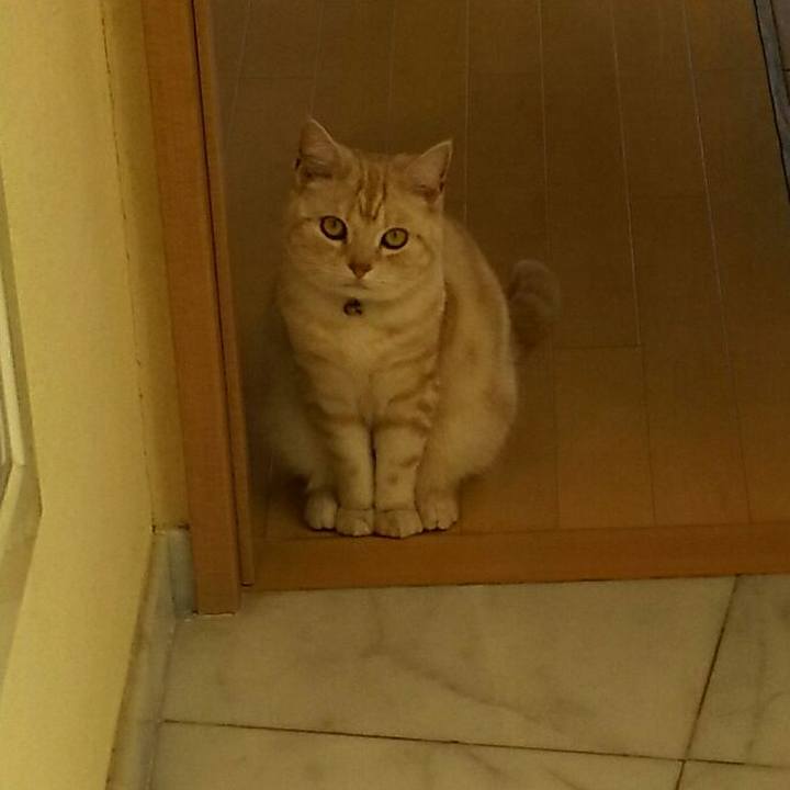 5b974e66 5174 4b87 a509 6a96a0548535