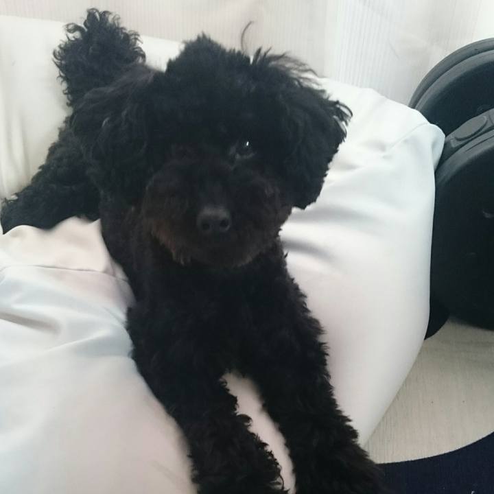 5b97a9cd 1e4c 4e22 9ceb 922bd11395d6