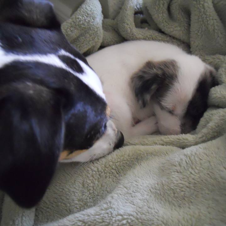 5b97ccfc 38ae 4c11 a69e 6a6b6fafa13c