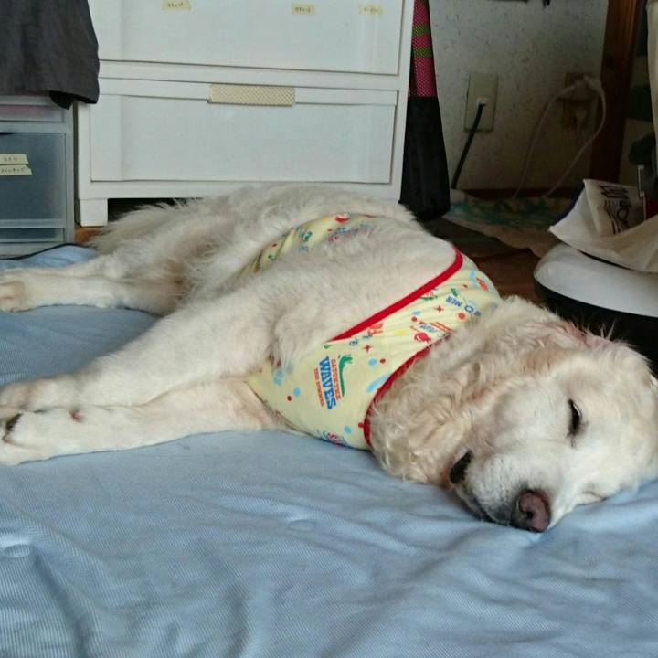 5b9a2ccb d57c 4941 a587 d8bc2b98966a