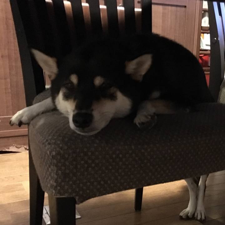 5b9a6a79 c64e 4ebf a7cd c2146df2bd9c